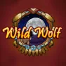 Wild Wolf